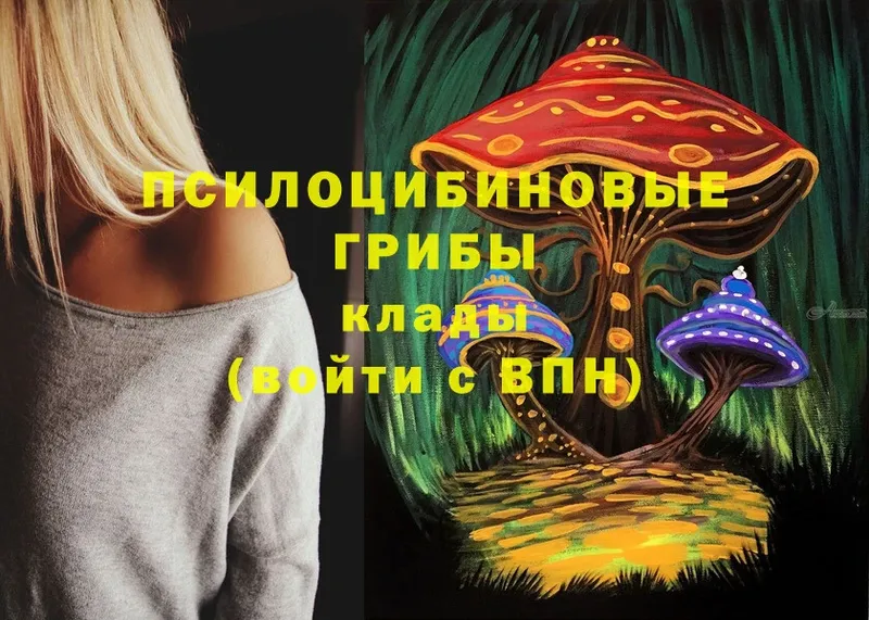 Галлюциногенные грибы MAGIC MUSHROOMS  Вельск 